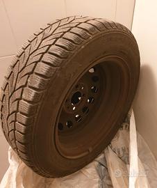 Gomme invernali 175/65/R14