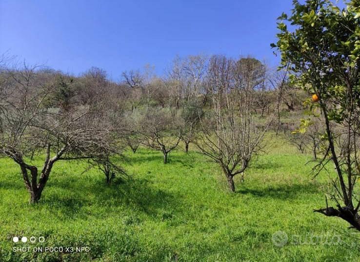 Terreno agricolo - Vista 5