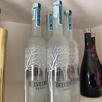 Bottiglie vuote vodka