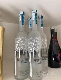 Bottiglie vuote vodka