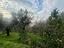 Immagine 22
