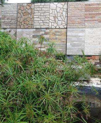 Pietra naturale