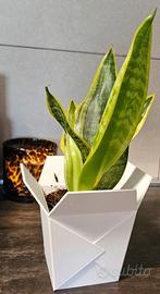 Vaso - stampa 3D