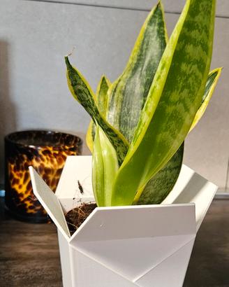 Vaso - stampa 3D