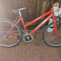 Mountain bike da donna 