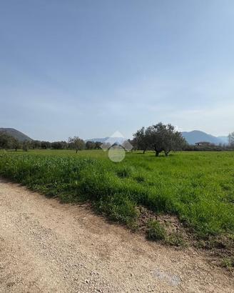 TER. AGRICOLO A VENAFRO