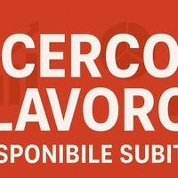 cerc0 lavoro in zona 
