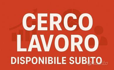 cerc0 lavoro in zona 