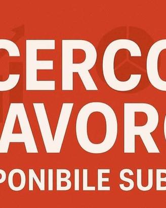 cerc0 lavoro in zona 