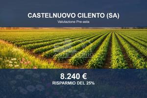 Immobile in asta di 1646 m² a Castelnuovo Cilento