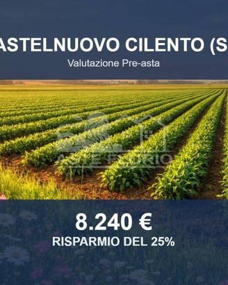 Immobile in asta di 1646 m² a Castelnuovo Cilento