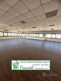 MQ 1.070 c.a. GUIDONIA MONTECELIO, ZONA INDUSTRIAL