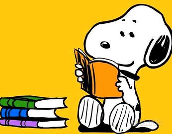 Ripetizioni lingue straniere e materie umanistiche