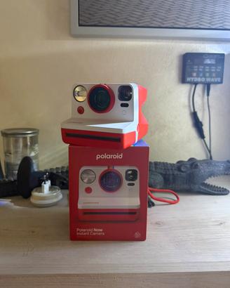 Polaroid