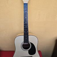 chitarra eko