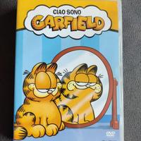 DVD cartoni animati Ciao sono Garfield