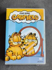 DVD cartoni animati Ciao sono Garfield