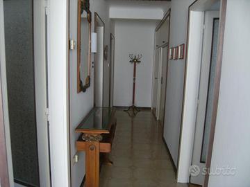 Rif.24107| appartamento bilocale