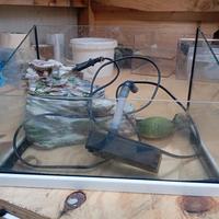 acquario x tartarughe completo