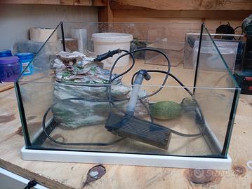 acquario x tartarughe completo