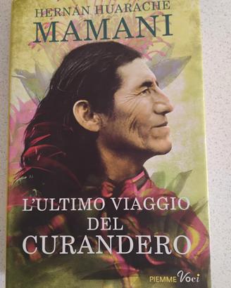 L'ultimo viaggio del curandero