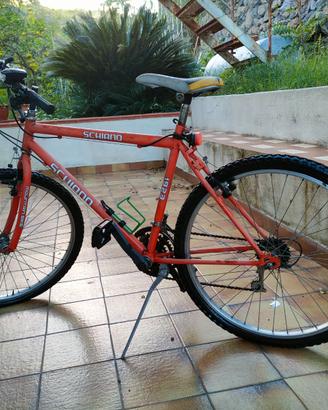 Mountain bike Schiano.