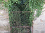 Immagine 5
