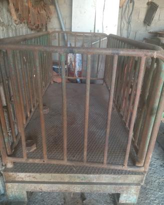 bascula pesa bestiame