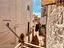 Immagine 15