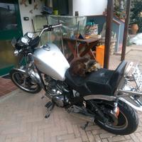 Moto Morini Excalibur 501 - 1994