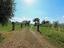 Immagine 20