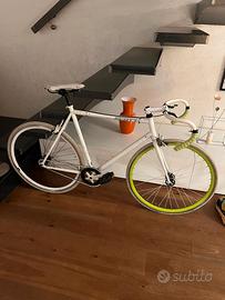 SCOTT FIXED TAGLIA L