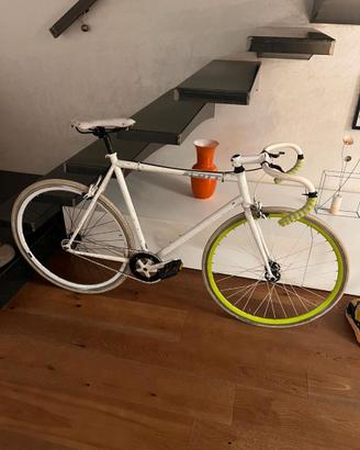 SCOTT FIXED TAGLIA L