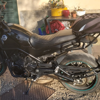 Leoncino 500 del 2022