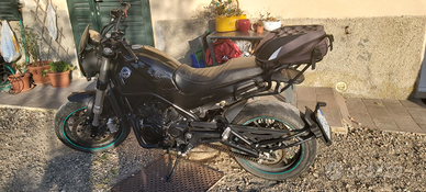 Leoncino 500 del 2022