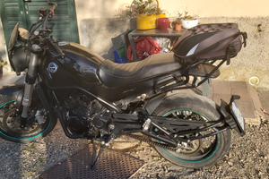 Leoncino 500 del 2022