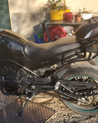 Leoncino 500 del 2022