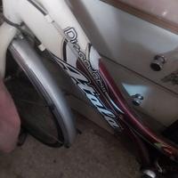 meravigliosa bici Atala discovery