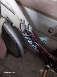 meravigliosa bici Atala discovery