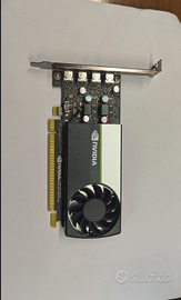 NVIDIA T1000 8 GB  ,  4  uscite