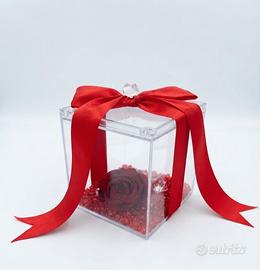 scatola con rosa rossa 