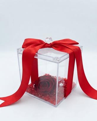 scatola con rosa rossa 