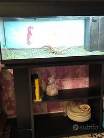 Acquario 