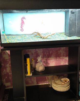 Acquario 