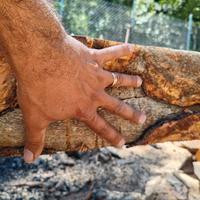 enorme architrave tronco albero 