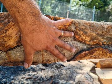 enorme architrave tronco albero 