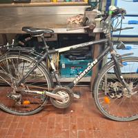 bicicletta BIANCHI SPILLO da uomo