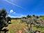 Immagine 26
