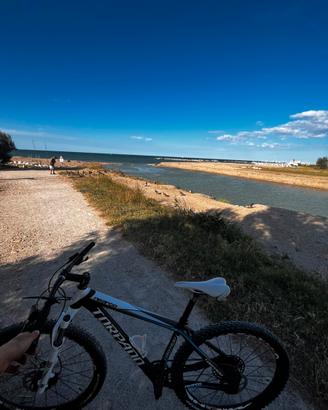 mtb mountain bike torpado