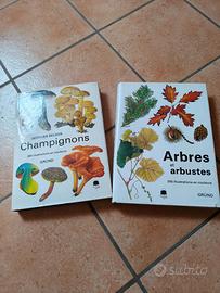 Libri 